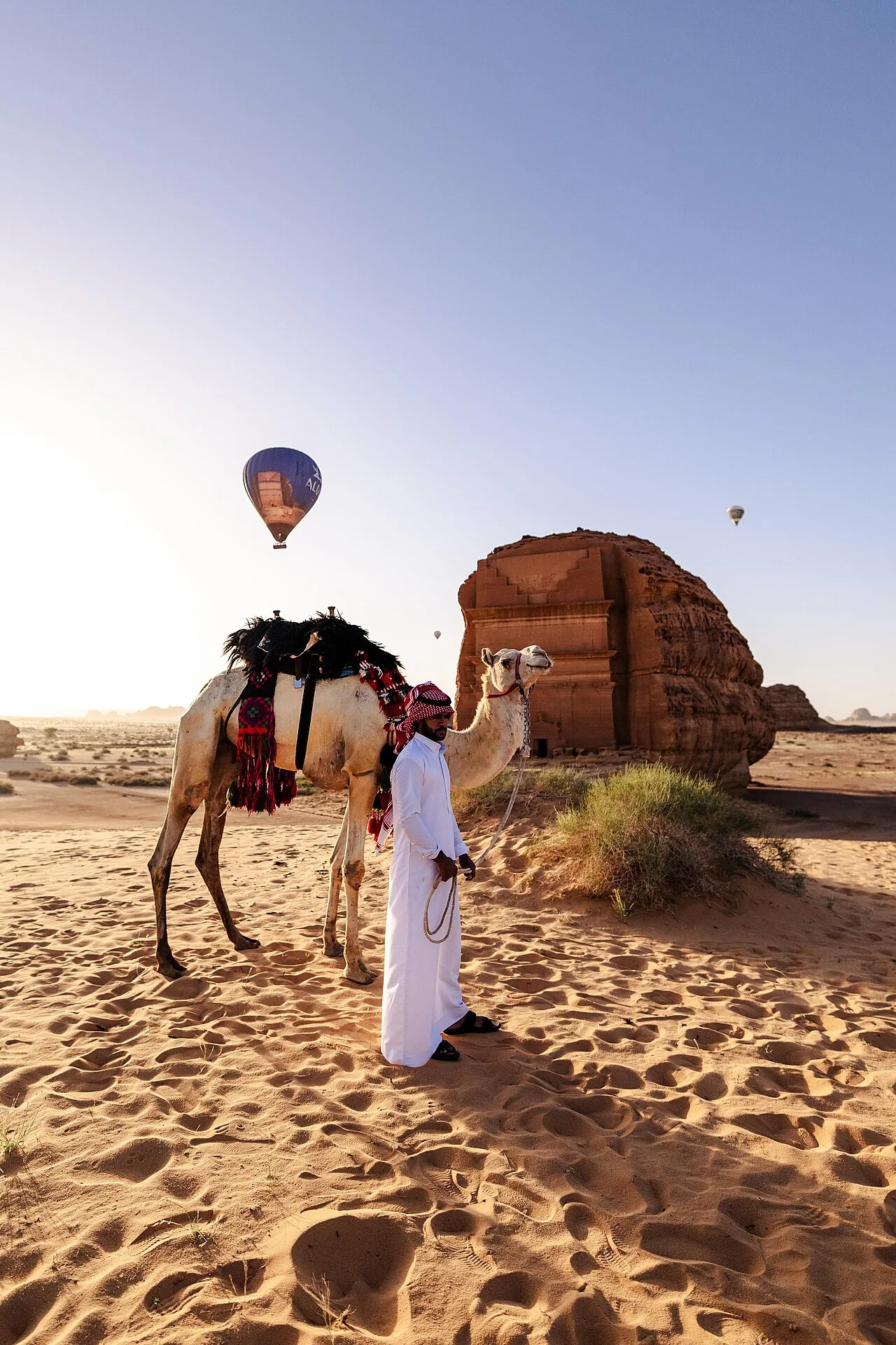 قصر الفريد — العلا