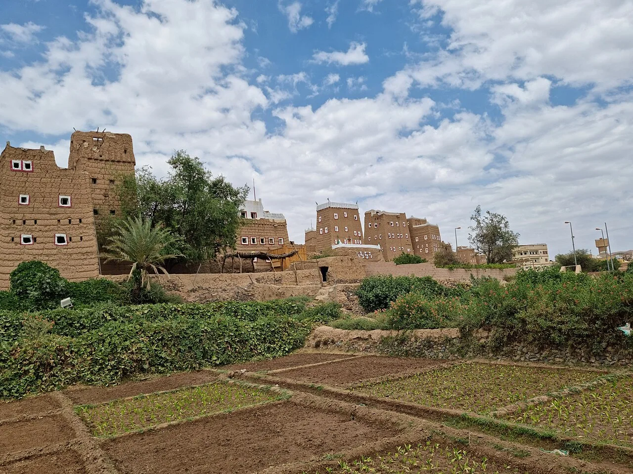 Dhahran Al-Janub — Abha & Asir