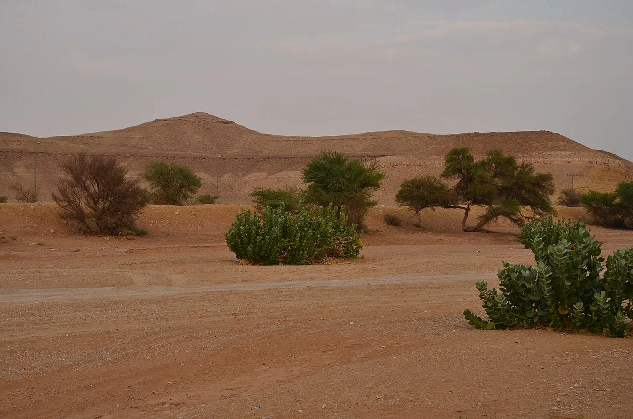 العيينة — منطقة الرياض