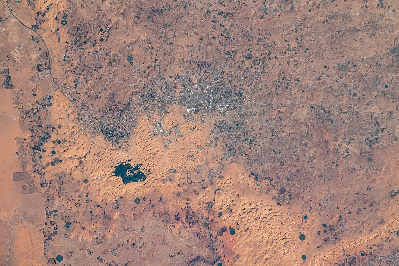 Harrat al-Harrah Reserve — Al-Jouf، Saudi Arabia