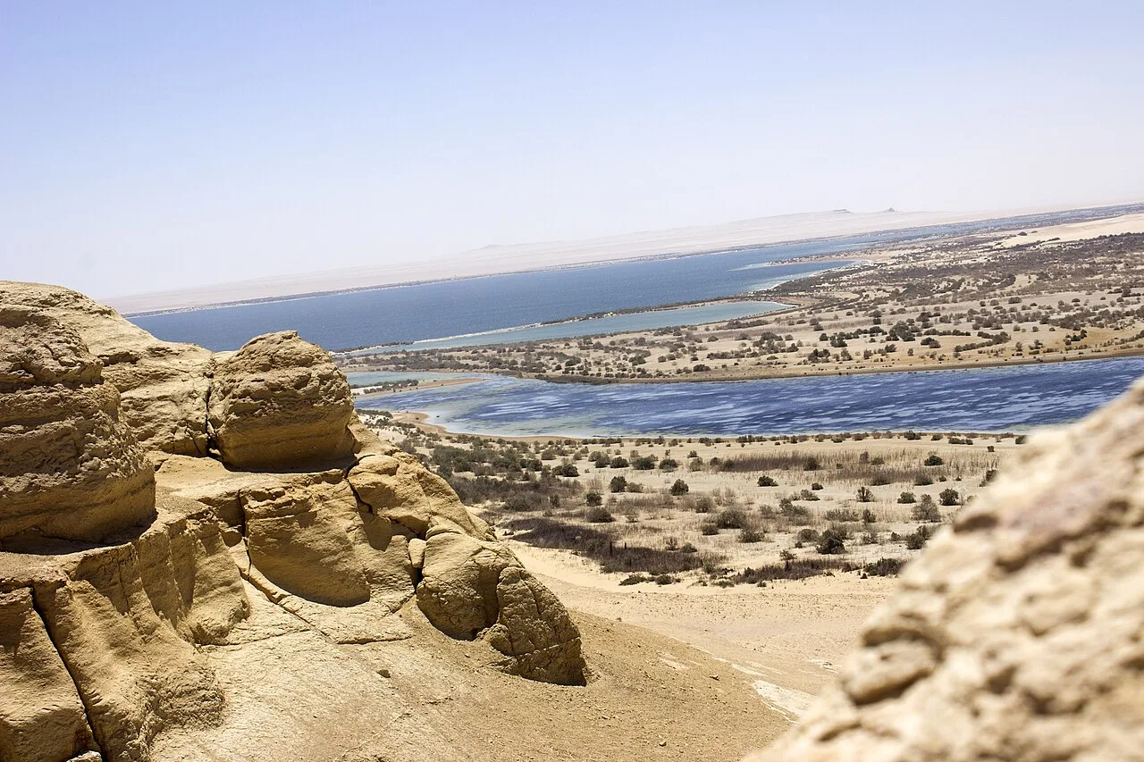 محمية وادي الريان — الفيوم