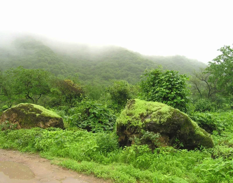 جبل القارة — الأحساء